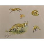 Michael Lyne (1912-1989) British. A Study of a Fox, in various positions, Mixed Media, Signed, 9.