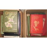 ORCHIDS, a useful coll'n of books about British & worldwide orchids (3 boxes).