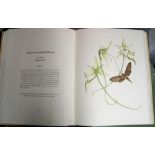 [ORCHIDS] HUNT (P.) & GRIERSON (M.) Orchidaceae, lge folio, 40 col. plates by Mary Grierson, LTD