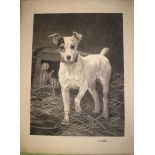 BLINKS (Thomas, artist) engraving of a terrier dog, proof before titles, 27.5 x 21.5 inches, (S),