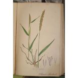 SOWERBY & JOHNSON, The Grasses of Great Britain, 8vo, 144 h-col'd plates, cloth gilt, L., 1861.