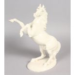 A NYMPHENBURG WHITE GLAZED PORCELAIN REARING HORSE. 9.5ins high.