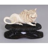 AN EARLY 20TH CENTURY CHINESE IVORY CARVING OF A GROWLING LION, together with a fixed wood stand,
