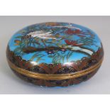 A GOOD QUALITY JAPANESE MEIJI PERIOD SKY-BLUE GROUND CIRCULAR CLOISONNE BOX & COVER, the cover