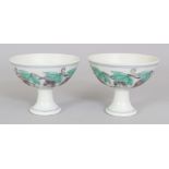 A PAIR OF MING STYLE DOUCAI PORCELAIN STEM BOWLS, the sides decorated with hanging vine, each base
