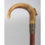 A RHINO HORN HANDLED BAMBOO WALKING STICK, with a hallmarked and embossed silver collar, the