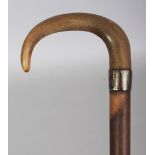 ANOTHER RHINO HORN HANDLED & WOOD WALKING STICK, with a hallmarked plain silver collar, the curved