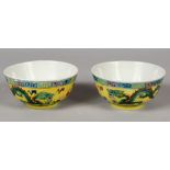 A PAIR OF CHINESE GUANGXU STYLE FAMILLE VERTE YELLOW GROUND PORCELAIN DRAGON BOWLS, each base with a