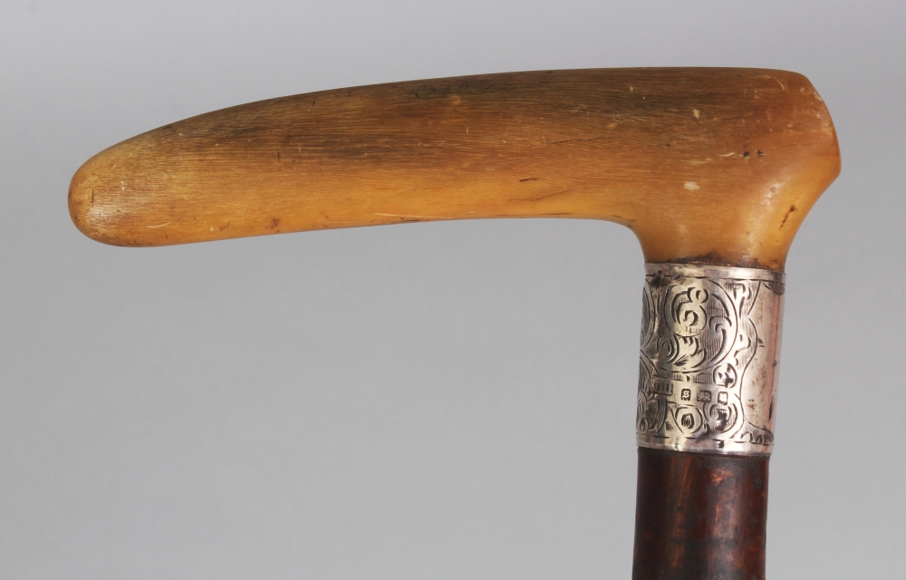 A RHINO HORN HANDLED & KNARLED WOOD WALKING STICK, with a hallmarked and engraved silver collar, the