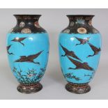 A GOOD MIRROR PAIR OF JAPANESE MEIJI PERIOD SKY BLUE GROUND CLOISONNE VASES, each decorated with a