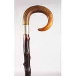 A BRIAR STICK WITH CROOK HANDLE and silver band. 32ins long,
