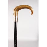 A STICK CARVED WITH A CROOK HANDLE with silver band. 35ins long.
