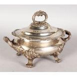 A GOOD SMALL OVAL TUREEN AND COVER decorated with fruiting vines, on four claw feet.