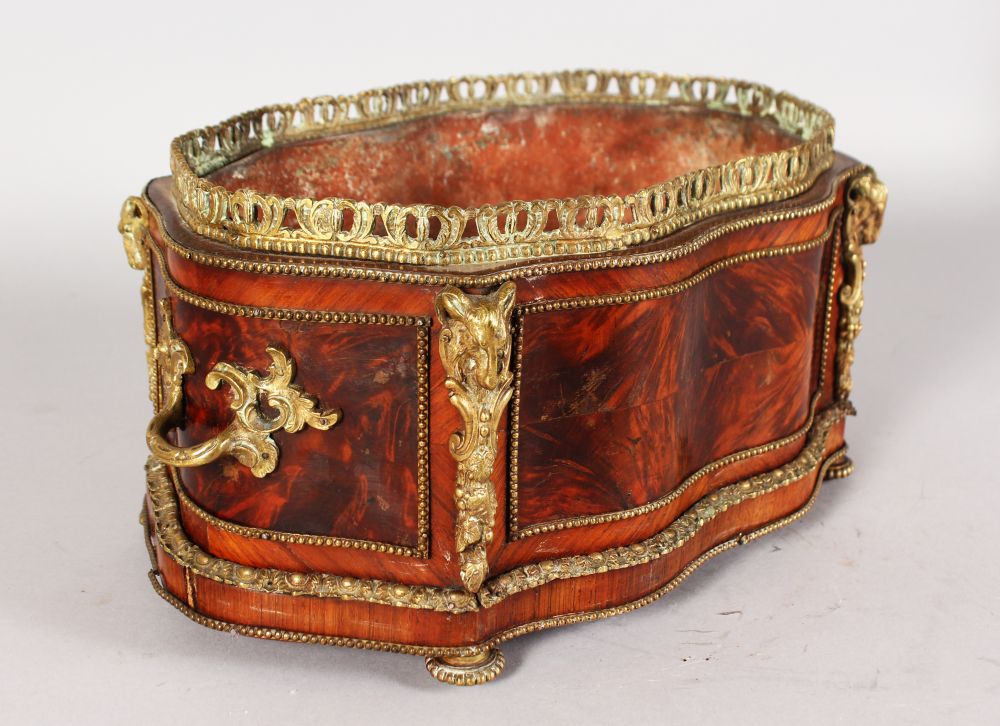 A 19TH CENTURY FRENCH LOUIS XVI SHAPED MAHOGANY AND ORMOLU PLANTER with tin liner. 14ins long, 6.