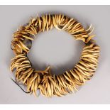 AN EARLY FIJIAN WHALE TOOTH NECKLACE. Waseisei, Wasekaseka. Composed of numerous curved sections
