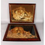 TWO SUPERB FRAMED SILKWORK PICTURES OF LIONS. 17ins x 22ins.