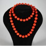 A Good Coral Bead Necklace comprising of 50 beads