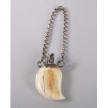 A TOOTH SHAPED IVORY PERFUME BOTTLE with silver chain and top. 4cms.