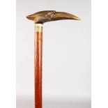 A STICK CARVED WITH A BIRDS HEAD. 35ins long. Head: 4.5ins long.