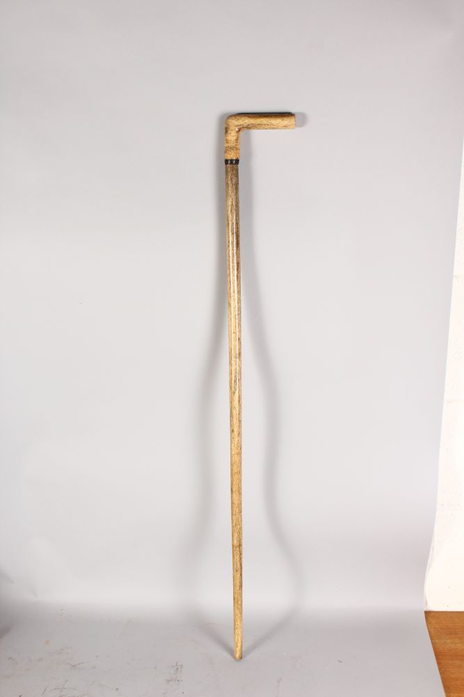 A SPECKLED NARWHAL TUSK WALKING STICK, Circa. 1900. 36ins long. - Image 2 of 2