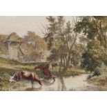 Robert Hills (1769-1844) British. Cattle Watering in a Stream, Watercolour and Pencil, 3.2" x 4.