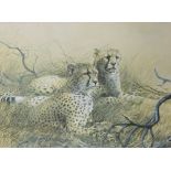 Spencer Roberts (1920-1997) British. Cheetahs Resting in a Landscape, Lithograph, Signed in Pencil