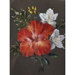 Late 19th Century English School. Hibiscus Floral Spray, Oil on Board in a Watts Frame, 8.5" x 6.