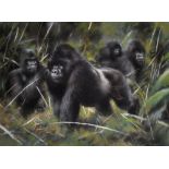 Joel Kirk (1948 ) British. Gorillas, Pastel, Signed, 18.5" x 26.5".