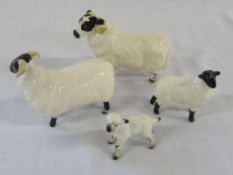 Beswick ram,