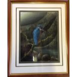 Oil painting of a kingfisher by Phil Draper 66cm by 53cm