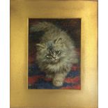 19th century oil on board of a kitten signed in bottom left corner R Bebb (possibly Rosa Bebb) 33cm