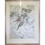 Limited edition bird print by Raymond Ching 285/850 62 cm x 79 cm