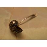 An unusual silver plated sugar sifter spoon formed as a Nautilus shell,