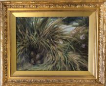 Oil on board of a birds nest signed G A Short 1908
