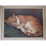 Oil on canvas of a cat 'Ginger Tom' by B Cohu 69 cm x 53 cm