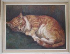 Oil on canvas of a cat 'Ginger Tom' by B Cohu 69 cm x 53 cm