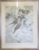 Limited edition bird print by Raymond Ching 285/850 62 cm x 79 cm
