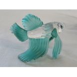 Swarovski green siamese fighting fish (boxed)