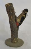 Taxidermy woodpecker