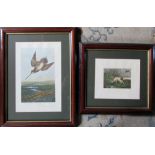 2 hunting prints 'Drumming Snipe' by Archibald Thorburn & 'Pointer' published by Richard Bentley