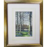 David N Robinson collection - Watercolour of Spring Rigsby Woods (nr Alford) by North Kelsey artist