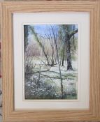 David N Robinson collection - Watercolour 'Snowdrops at Cadwell' by Louth artist T E J Brooker 35