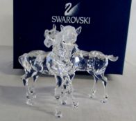 Swarovski crystal pair of horses (boxed)