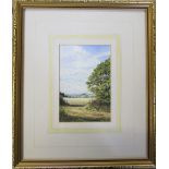 David N Robinson collection - Watercolour of Lincolnshire Wolds from Bluestone Moor Road by North