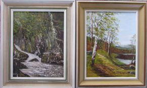 2 oil on boards of landscape scenes signed F Owen 48 cm x 58 cm