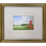 David N Robinson collection - Watercolour of Poppies nr Kirton Lindsey by North Kelsey artist E L