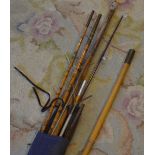 Various fishing rods