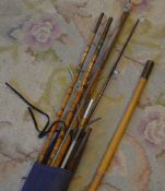 Various fishing rods