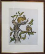 Watercolour of two dormice signed by Colin Wilkinson 42 cm x 49 cm