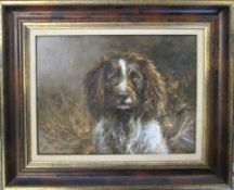 Oil on board of a springer spaniel by Mick Cawston (1959-2006) signed and dated '90 43 cm x 37 cm
